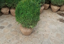 Amenajari Gradina Moreni GEO KAR GREEN SRL