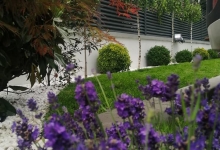 Amenajari Gradina Urziceni CREATIVE EVENT MANAGEMENT SRL