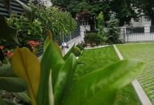 Amenajari Gradina Urziceni CREATIVE EVENT MANAGEMENT SRL