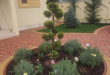 Amenajari Gradina Urziceni CREATIVE EVENT MANAGEMENT SRL