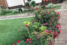 Amenajari Gradina Urziceni CREATIVE EVENT MANAGEMENT SRL