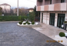 Fotografia 18 — Garden Plante - Amenajari Gradini Spatii Verzi Tulcea Verde Vale de Parmac