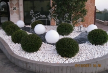 Fotografia 15 — Garden Plante - Amenajari Gradini Spatii Verzi Tulcea Verde Vale de Parmac