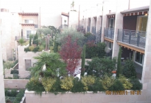 Fotografia 19 — Garden Plante - Amenajari Gradini Spatii Verzi Tulcea Verde Vale de Parmac