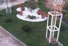 Amenajari Gradina Domnesti CREATIVE EVENT MANAGEMENT SRL
