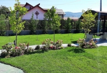 Amenajari Gradina Domnesti CREATIVE EVENT MANAGEMENT SRL