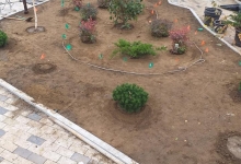 Amenajari Gradina Domnesti CREATIVE EVENT MANAGEMENT SRL