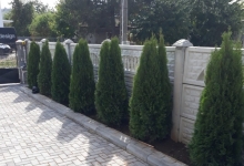 Amenajari Gradina Balotesti GEO KAR GREEN SRL