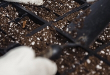 Amenajari Gradina Fundulea Amenajari Gradini si Spatii Verzi Fundulea - WOW GARDEN