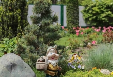 Amenajari Gradina Fundulea Amenajari Gradini si Spatii Verzi Fundulea - WOW GARDEN