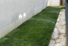 Amenajari Gradina Petrachioaia Amenajari Gradini si Spatii Verzi Petrachioaia - ADD.GREEN EXCLUSIVE