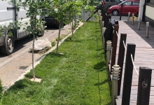 Amenajari Gradina Petrachioaia Amenajari Gradini si Spatii Verzi Petrachioaia - ADD.GREEN EXCLUSIVE