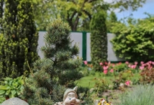 Amenajari Gradina Ianca Amenajari Gradini Spatii Verzi Ianca - WOW GARDEN