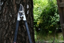 Amenajari Gradina Ianca Amenajari Gradini Spatii Verzi Ianca - WOW GARDEN