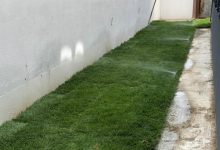 Amenajari Gradina Bals Amenajari Gradini si Spatii Verzi Bals - ADD.GREEN EXCLUSIVE