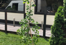 Amenajari Gradina Potcoava Amenajari Gradini si Spatii Verzi Potcoava - ADD.GREEN EXCLUSIVE