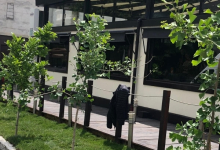 Amenajari Gradina Bals Amenajari Gradini si Spatii Verzi Bals - ADD.GREEN EXCLUSIVE