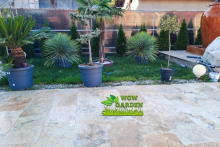 Amenajari Gradina Rosu Amenajari Gradini si Spatii Verzi Rosu - WOW GARDEN