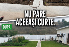 Amenajari Gradina Lipova Amenajari Gradina Lipova Giardini Veneziani SRL