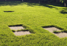 Amenajari Gradina Orastie Amenajari Gradina si Sisteme Irigare Orastie - Giardini Veneziani SRL