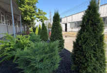 Amenajari Gradina Orastie Amenajari Gradina si Sisteme Irigare Orastie - Giardini Veneziani SRL