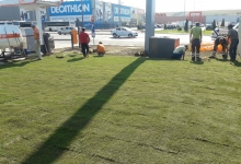 Amenajari Gradina Pascani Bogardens Design SRL
