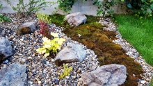 Amenajari Gradina Baia Mare Unique Landscaping