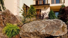 Amenajari Gradina Baia Mare Unique Landscaping