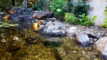 Amenajari Gradina Huedin Unique Landscaping
