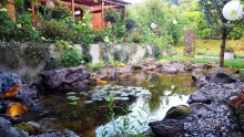 Amenajari Gradina Huedin Unique Landscaping