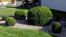 Amenajari Gradina Huedin Unique Landscaping